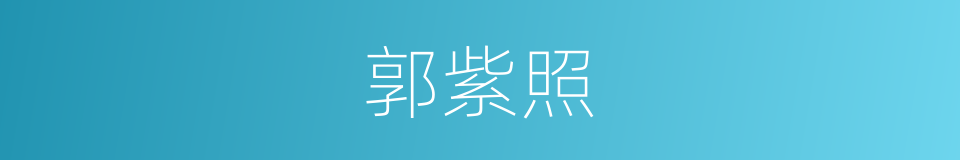 郭紫照的同义词