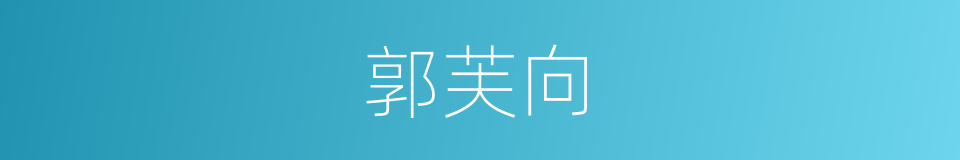 郭芙向的同义词
