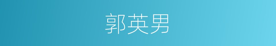 郭英男的同义词