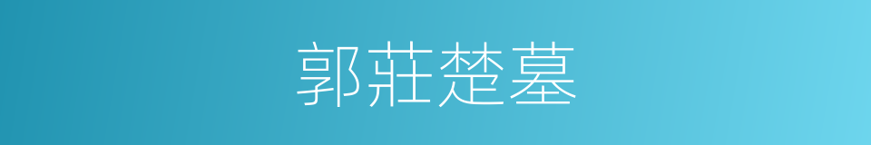 郭莊楚墓的同義詞