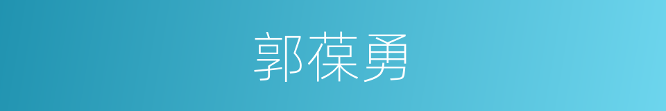 郭葆勇的同义词