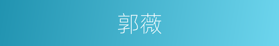 郭薇的同义词