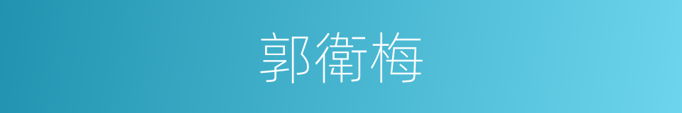 郭衛梅的同義詞