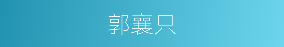 郭襄只的同义词