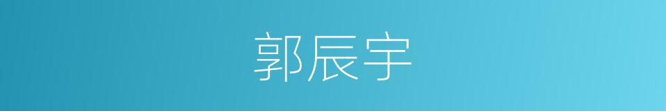 郭辰宇的同义词