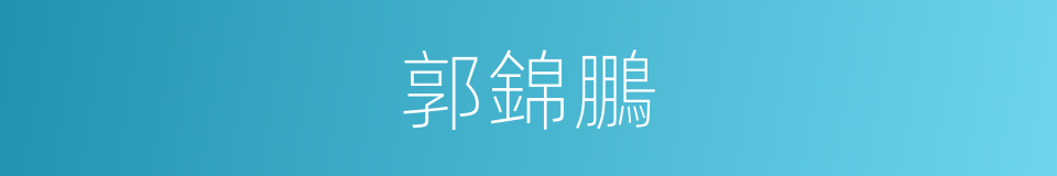 郭錦鵬的同義詞