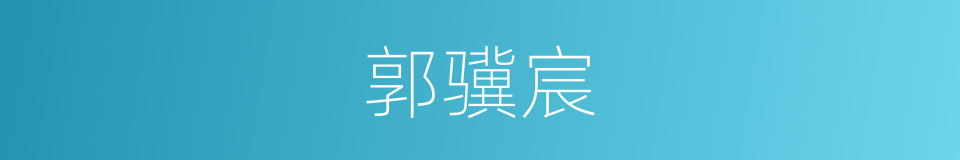 郭骥宸的同义词