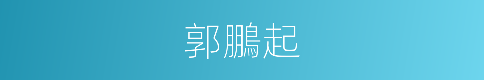 郭鵬起的同義詞