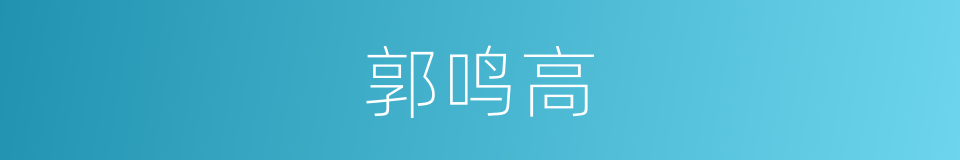 郭鸣高的同义词
