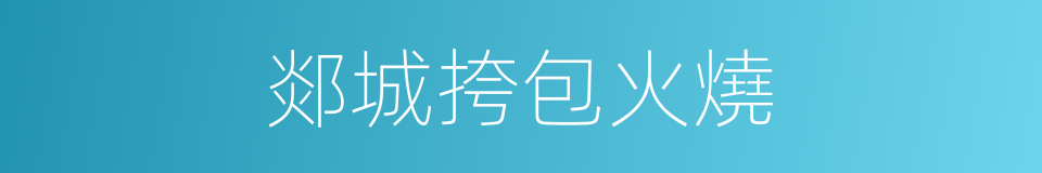 郯城挎包火燒的同義詞