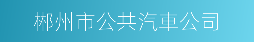 郴州市公共汽車公司的同義詞