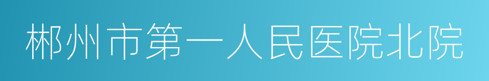 郴州市第一人民医院北院的同义词