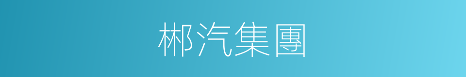 郴汽集團的同義詞