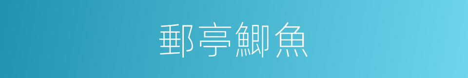 郵亭鯽魚的同義詞