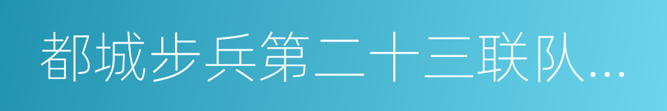 都城步兵第二十三联队战记的同义词