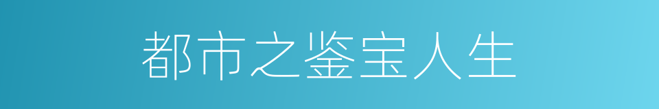 都市之鉴宝人生的同义词
