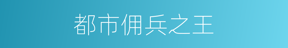 都市佣兵之王的同义词