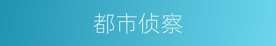 都市侦察的同义词