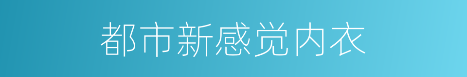 都市新感觉内衣的同义词