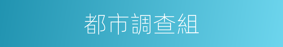 都市調查組的同義詞