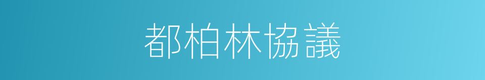 都柏林協議的同義詞