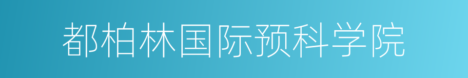 都柏林国际预科学院的同义词