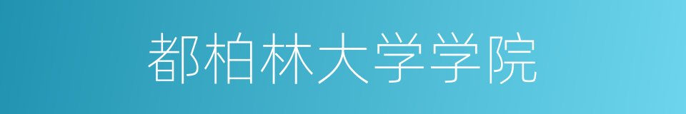 都柏林大学学院的同义词