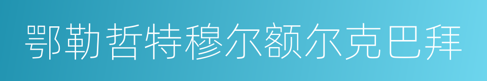 鄂勒哲特穆尔额尔克巴拜的同义词