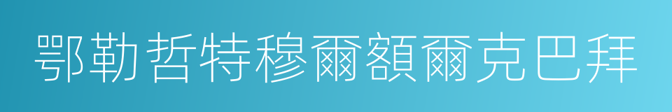 鄂勒哲特穆爾額爾克巴拜的同義詞