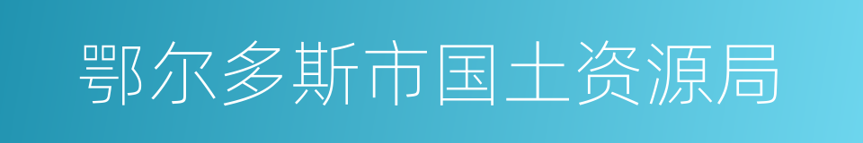 鄂尔多斯市国土资源局的同义词