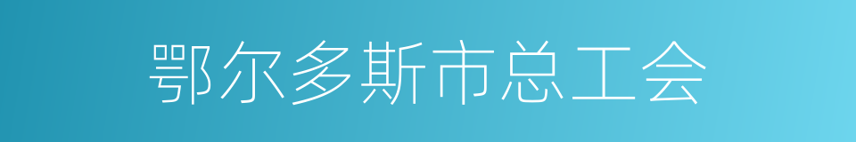 鄂尔多斯市总工会的同义词