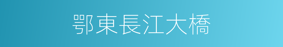 鄂東長江大橋的同義詞