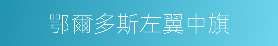 鄂爾多斯左翼中旗的同義詞