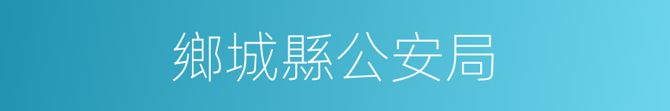 鄉城縣公安局的同義詞