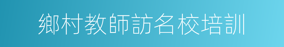 鄉村教師訪名校培訓的同義詞