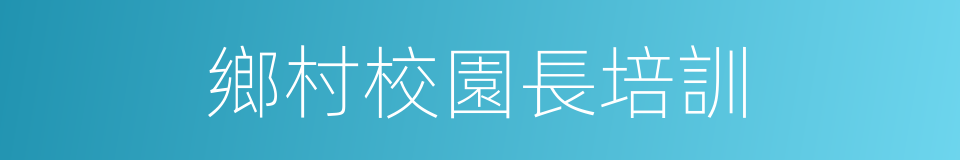 鄉村校園長培訓的同義詞