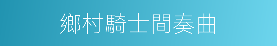 鄉村騎士間奏曲的同義詞