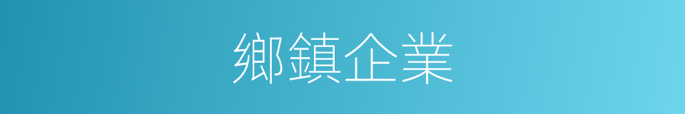 鄉鎮企業的意思