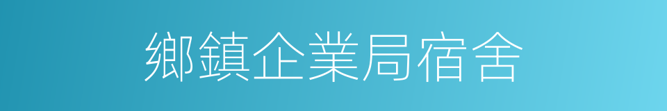 鄉鎮企業局宿舍的同義詞