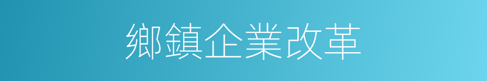 鄉鎮企業改革的同義詞