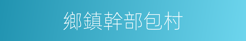 鄉鎮幹部包村的同義詞