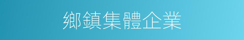 鄉鎮集體企業的同義詞