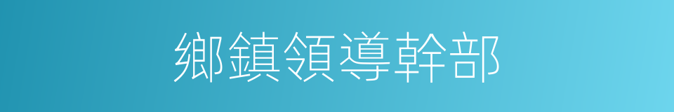 鄉鎮領導幹部的同義詞