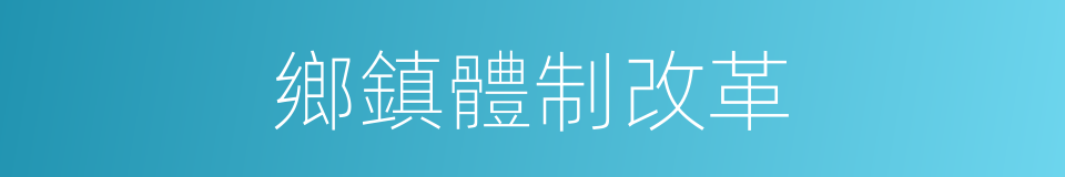 鄉鎮體制改革的同義詞