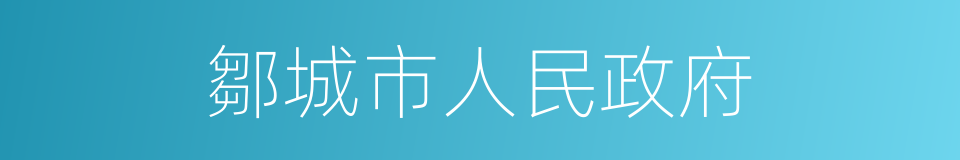 鄒城市人民政府的同義詞