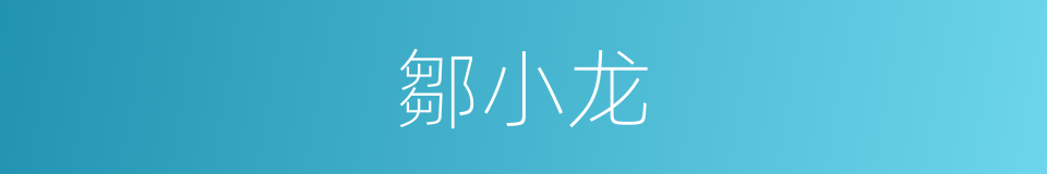 鄒小龙的同義詞