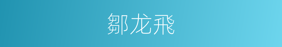 鄒龙飛的同義詞