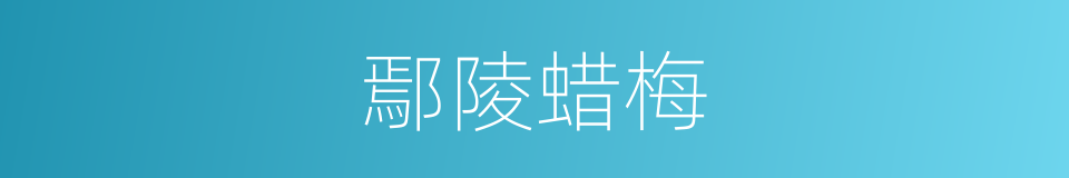 鄢陵蜡梅的同义词