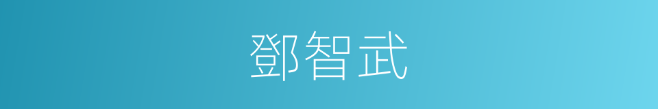 鄧智武的同義詞