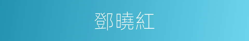 鄧曉紅的同義詞